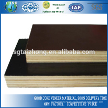 Construction Grade Film Faced Plywood